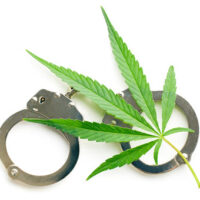 Marijuana2 Marijuana2